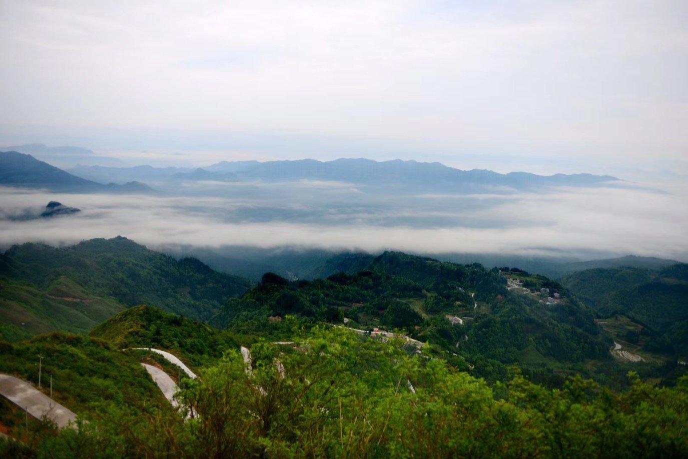 骆明:国足属亚洲几流可由世预赛检验,没进18强就是四流