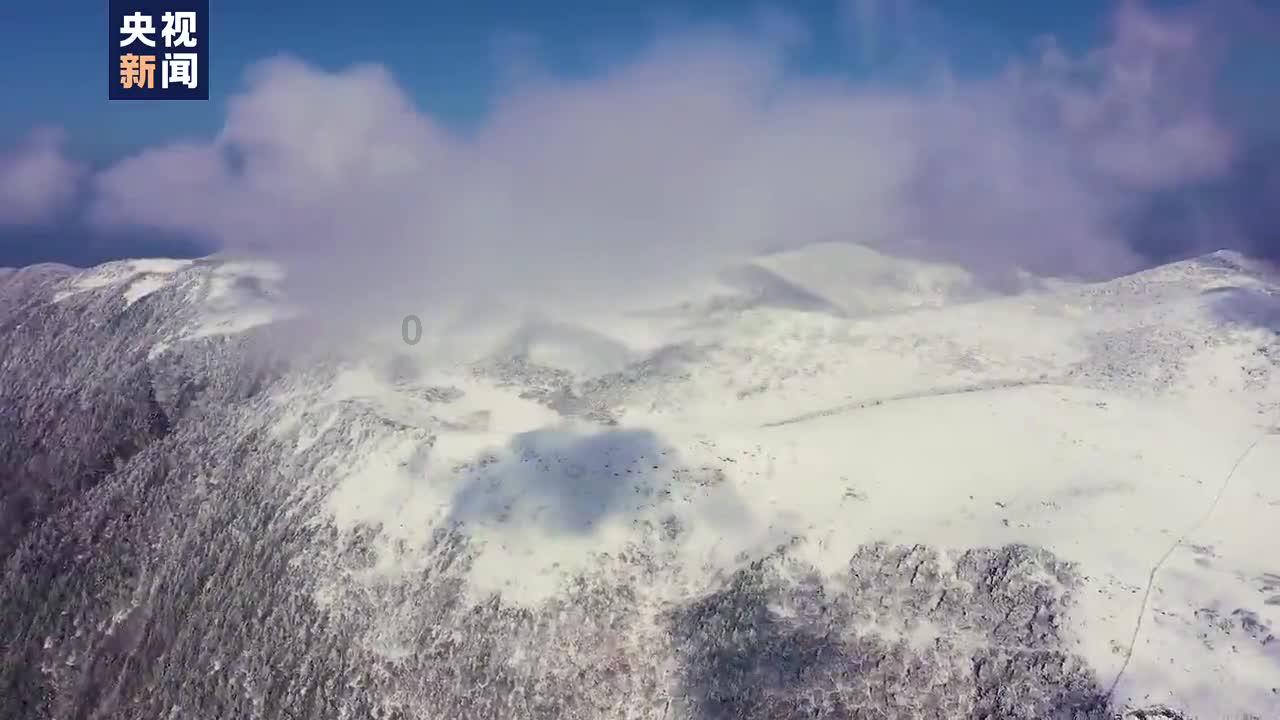 量子破碎