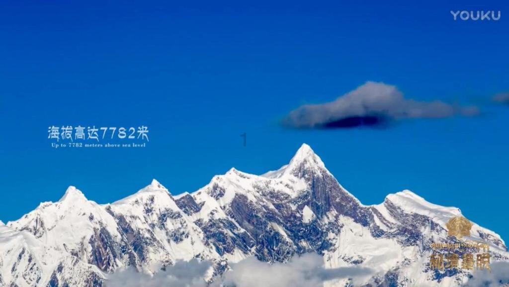 萨卡连续两个赛季进球&助攻均上双,枪手自桑切斯以来首人