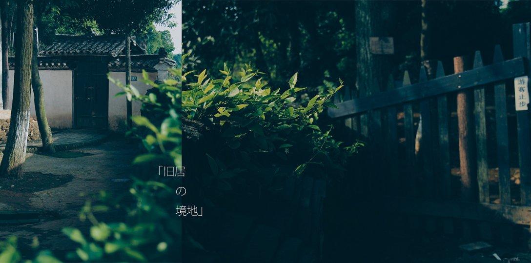 金证股份2涨停