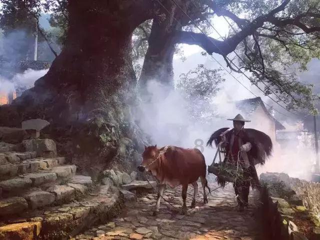 逃离废弃高校