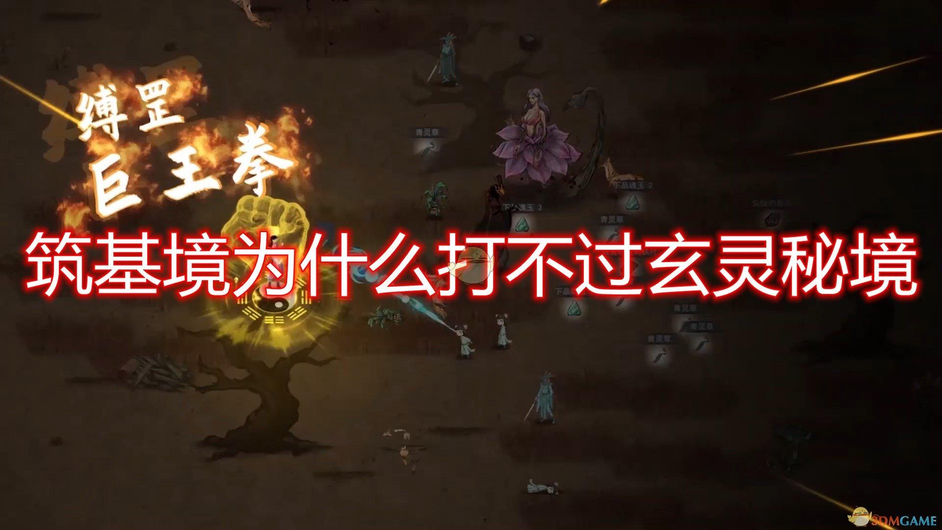 贡献超五成!中国已成世界清洁能源发展不可或缺力量