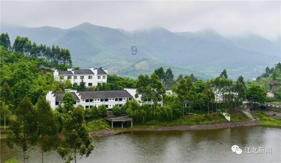 连接字母