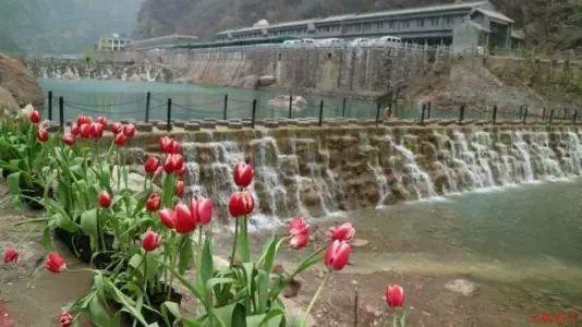 去了哈尔滨才发现:满大街都是“羽绒服+不露腿”,时髦又保暖