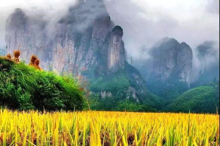 无业游民突然买车买房,这笔巨款从何而来,他又有着怎样的结局?