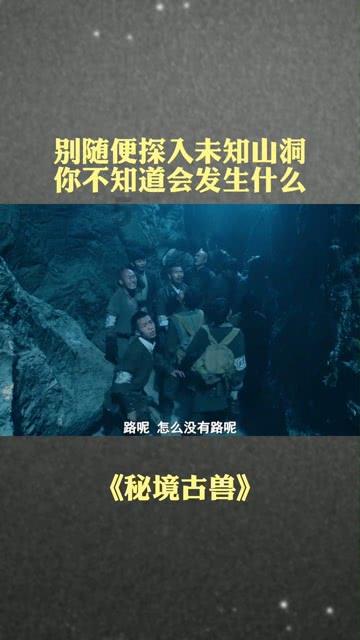 小猫钓鱼游戏龙王版有船