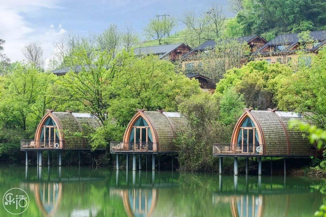 意想不到的旅程