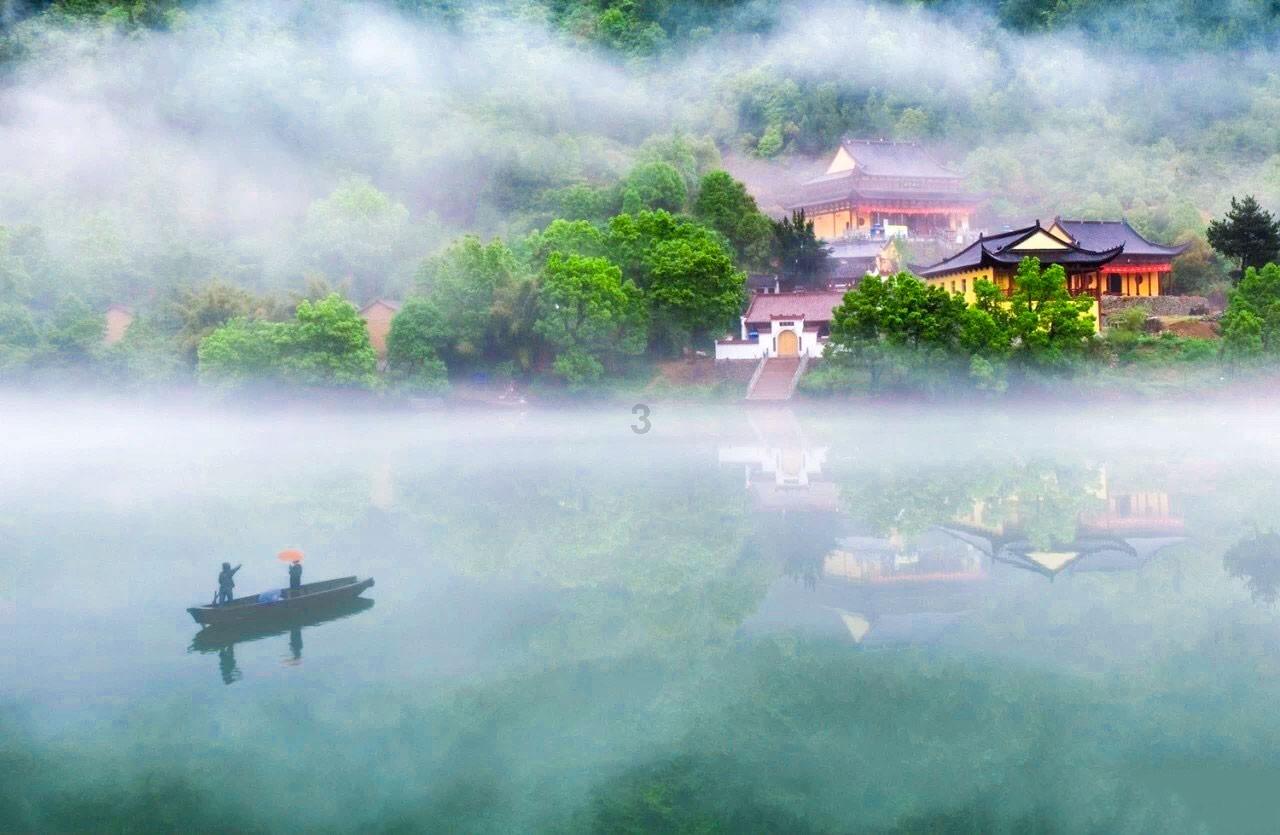 逃离神秘之林