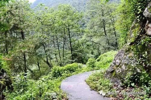 中国平安“1.8财神节”再升级,一条龙专业服务打造全新客户体验
