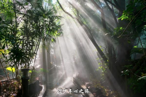 虫虫助手下载