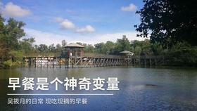疯狂实验室找物品