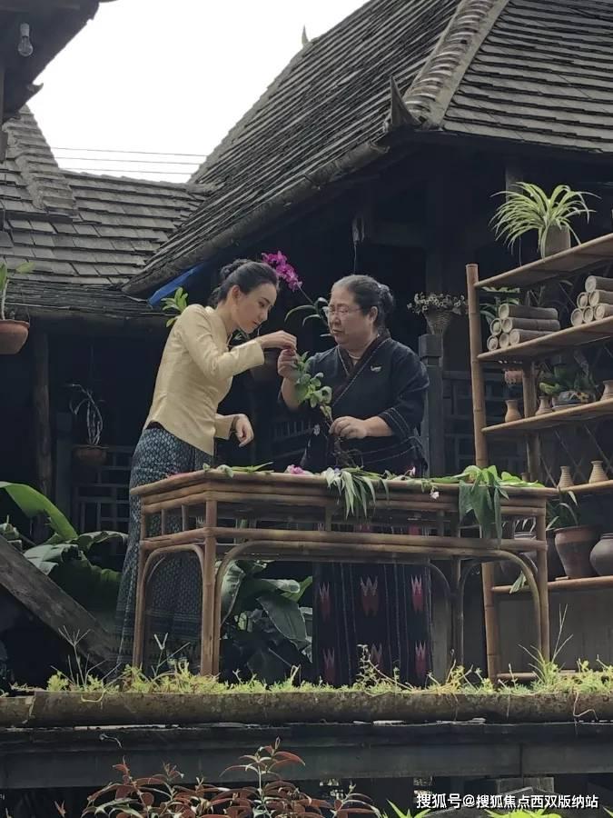 燃烧吧大脑装瓶子游戏