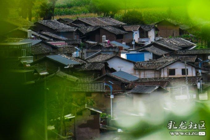 3月1日起，成渝职工基本医保缴费年限互认
