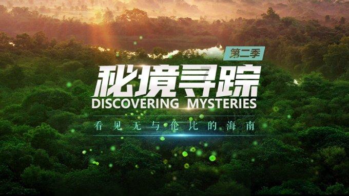 趣味沙滩球