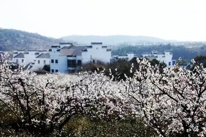46岁王楠海南过年!穿短裤挽百亿富豪丈夫