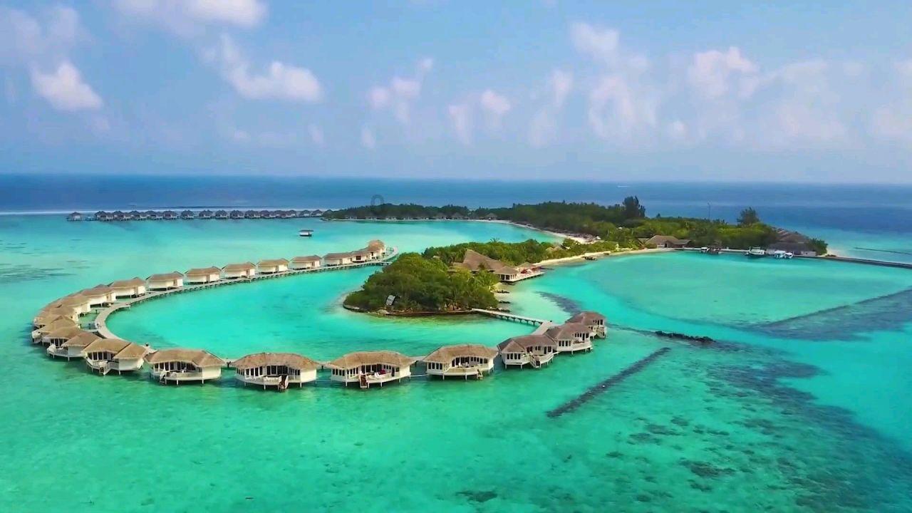 小猫钓鱼游戏龙王版有船