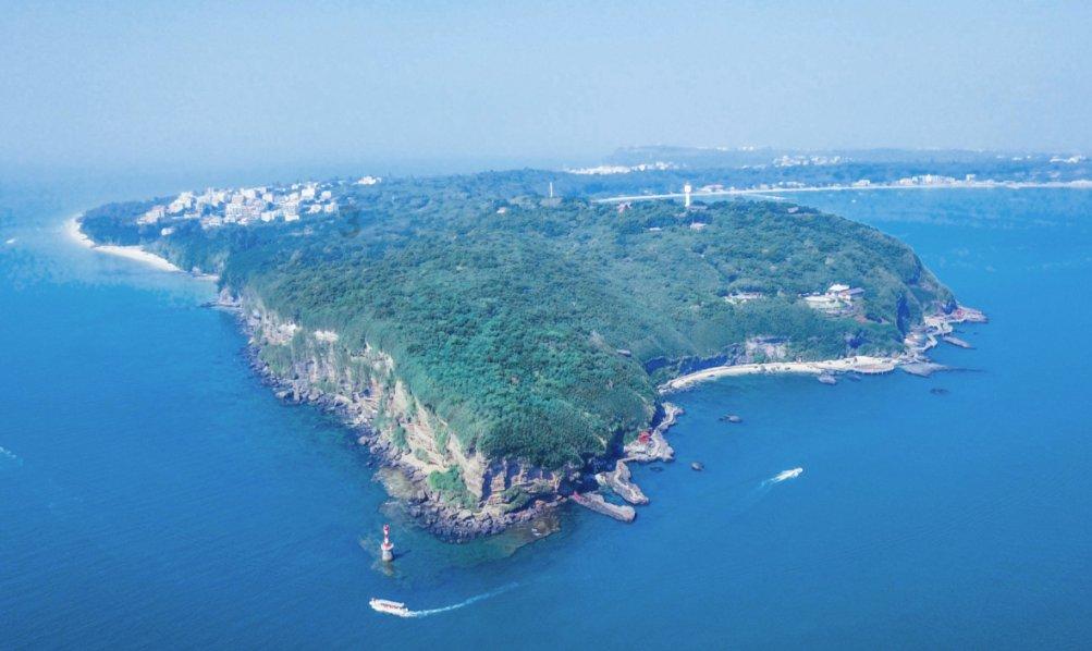 救援小肥兔