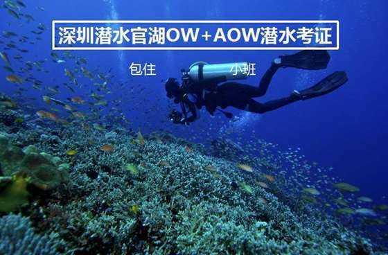 海军蓝