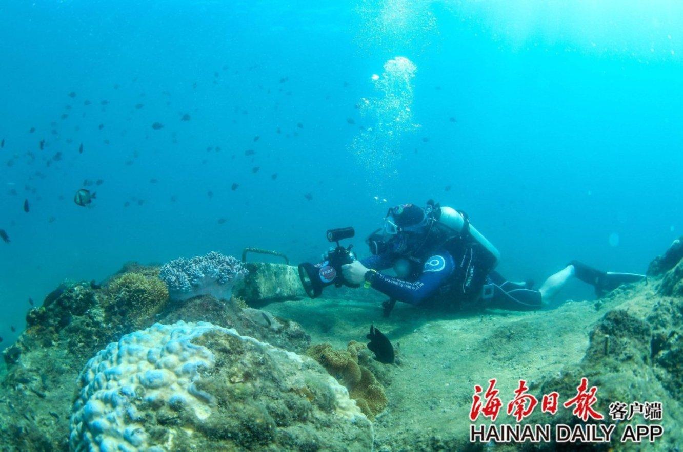 森林的奇迹