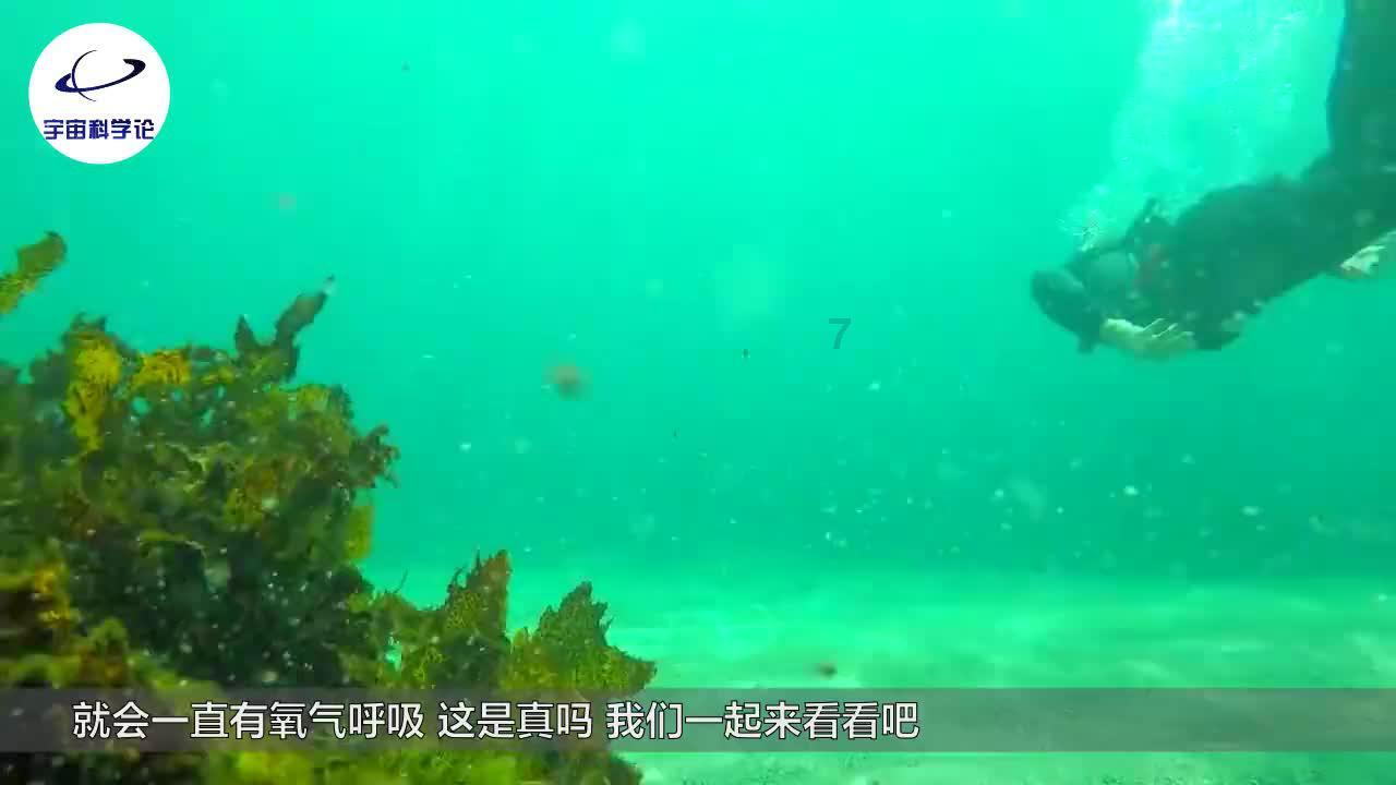 人心惟危游戏画面