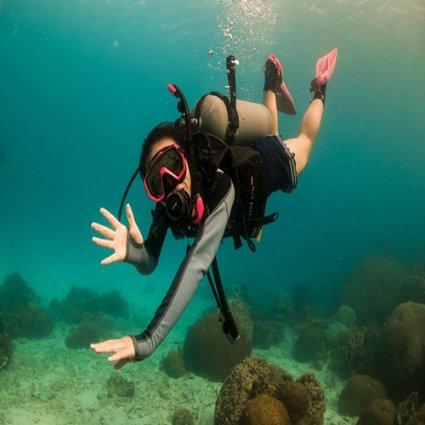 海绵宝宝寻珍宝
