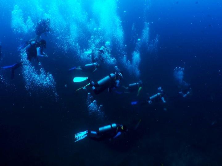 海之号角神秘海怪
