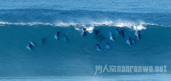 小猫钓鱼正版下载中文版