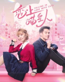 孤独的流浪者救援