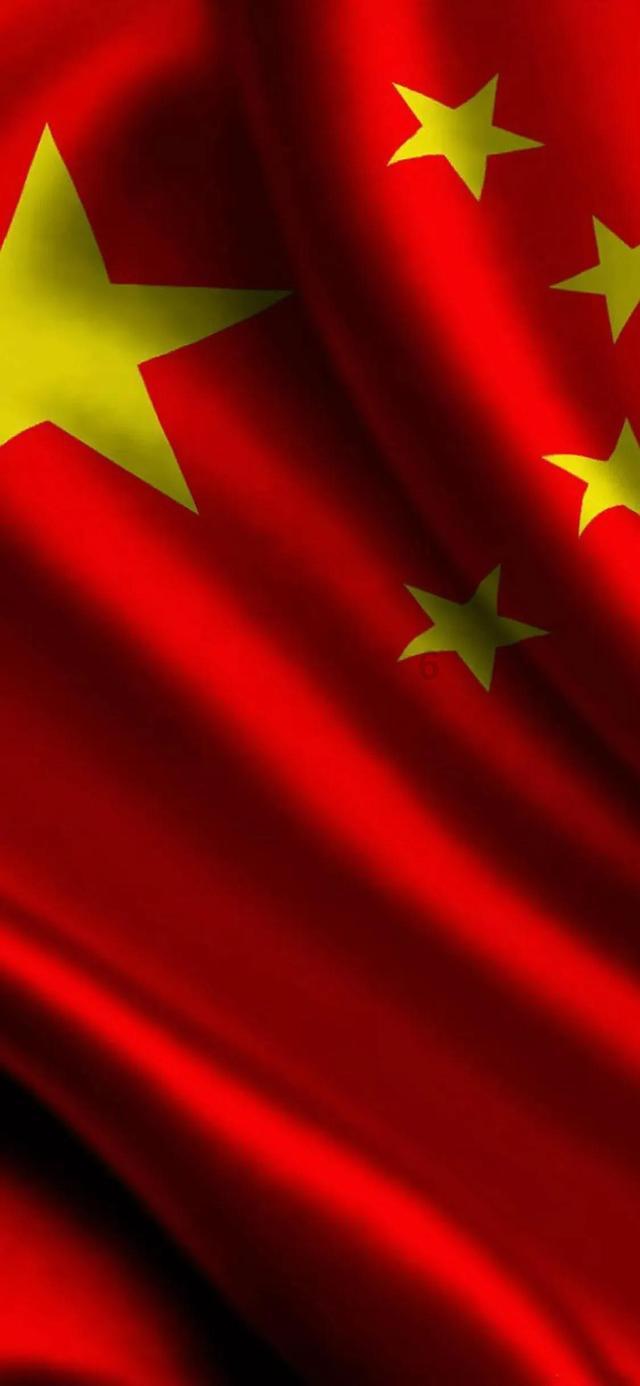 主人在医院死亡,忠犬每天守在医院门口,已经守了四个月仍在继续