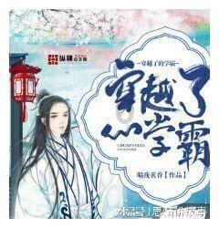 哥特舰队