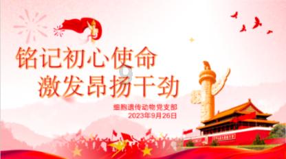 史小坑的爆笑生活12