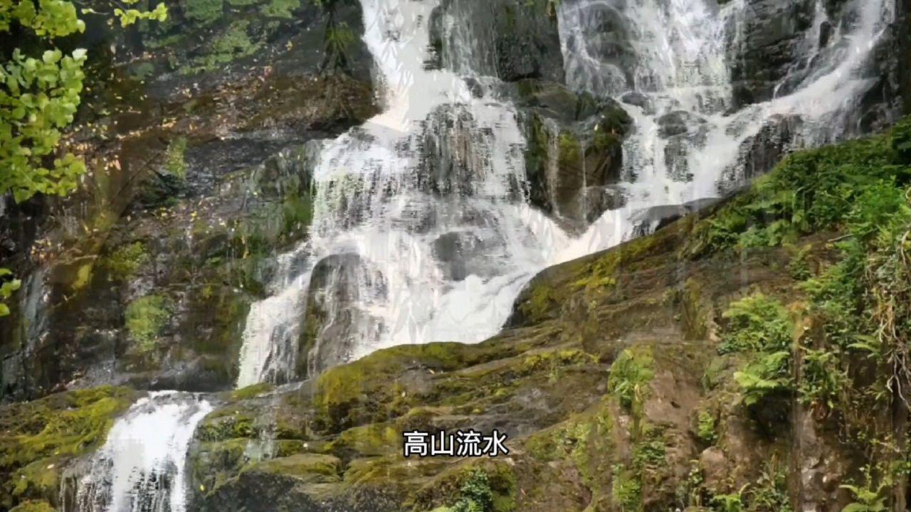 逗小猴开心系列202