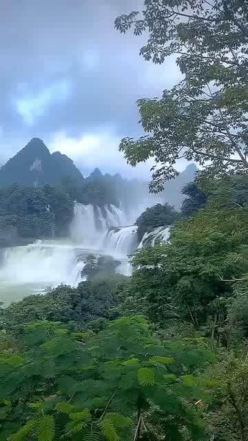 月光影视