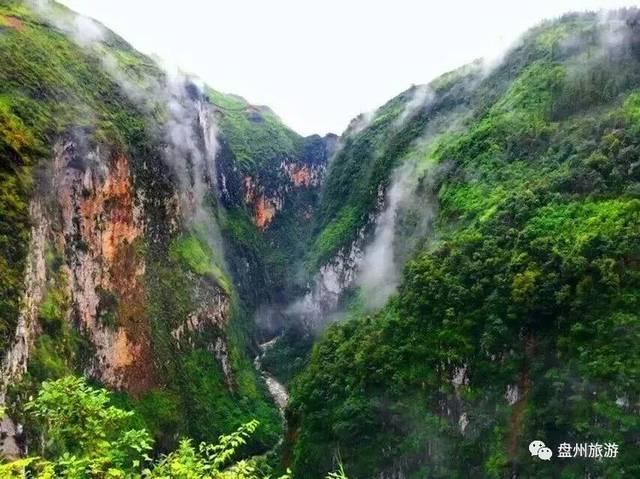 全民剧本大师内置菜单