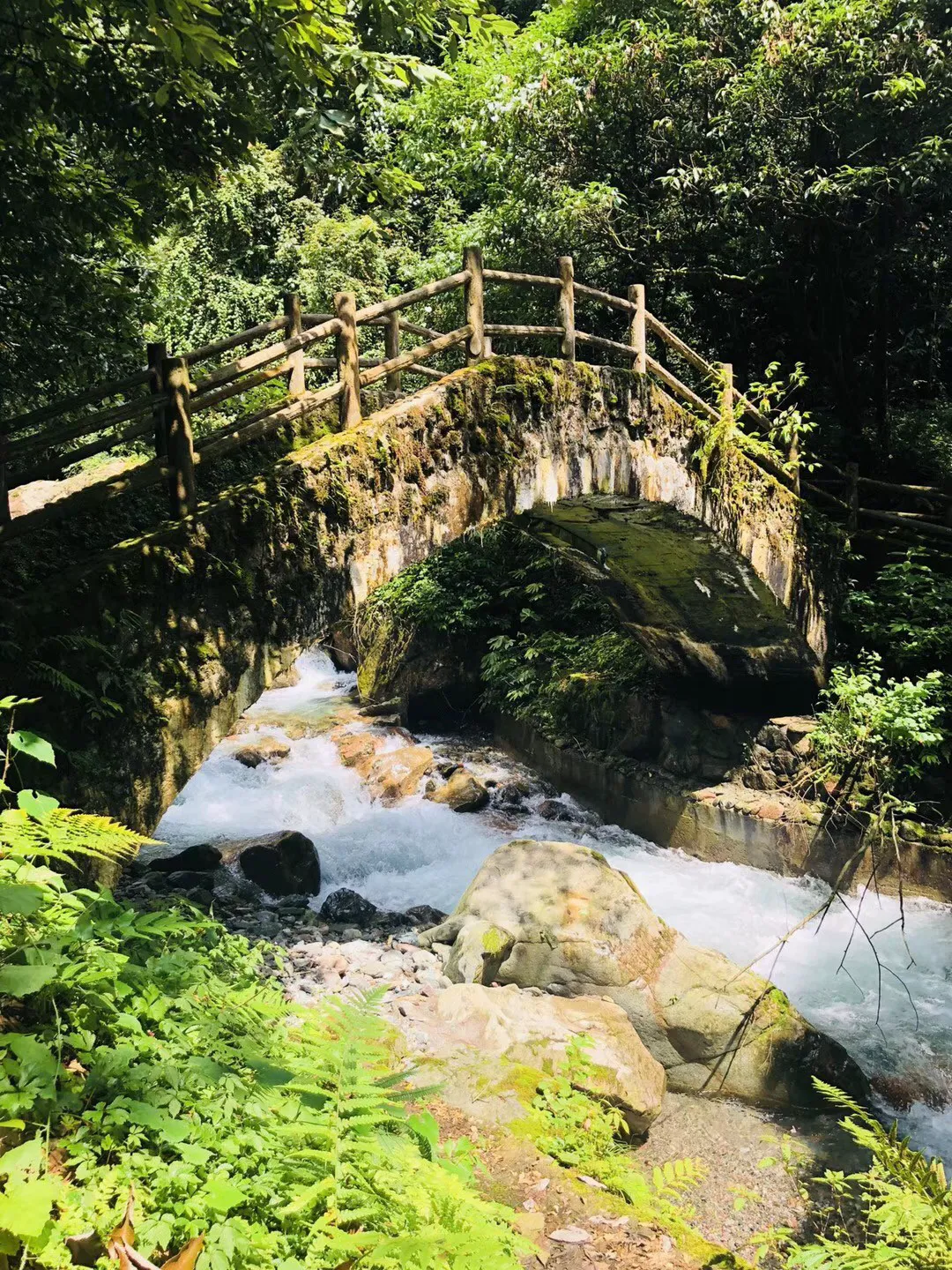 小猫钓鱼游戏龙王版有船