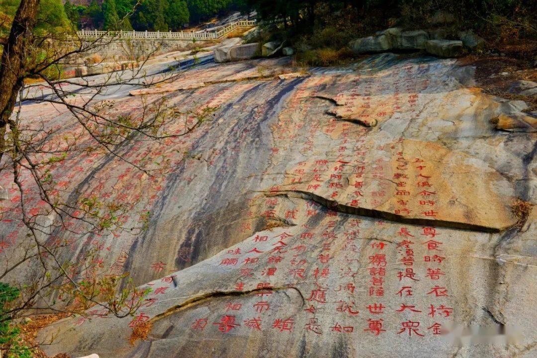 人形机器人专题报告:拆解人形机器人结构,寻找高价值量细分领域
