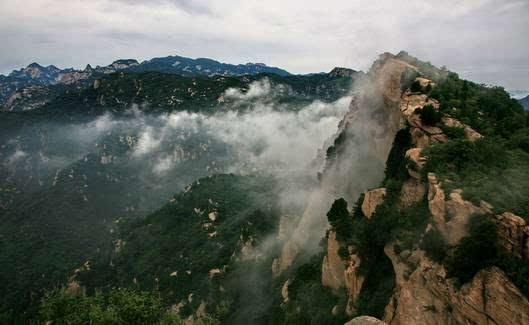 QQ企鹅