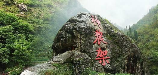 那些常见植物有香味？容易种植？