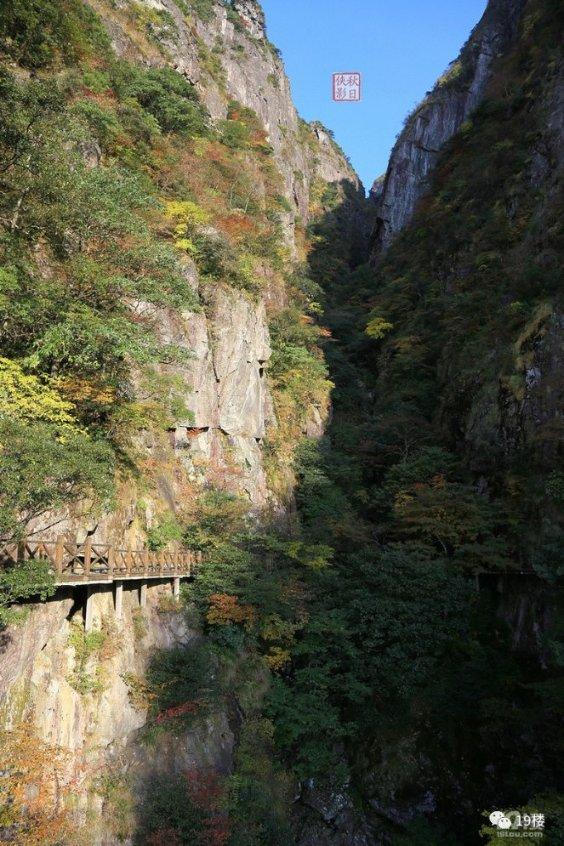 最高奖20万元！三亚出台两项管理办法推进旅游标准化建设