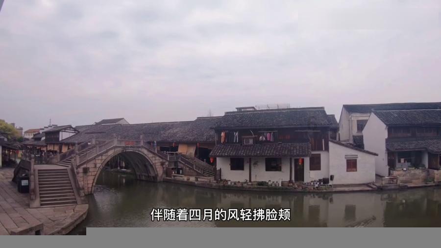 为什么会有人那么讨厌吃香菜？游戏画面
