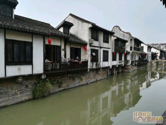 植物大战僵尸12