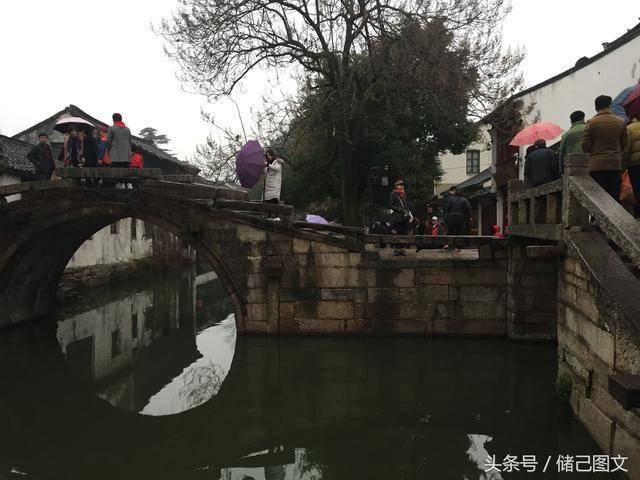 救援受困的小恐龙