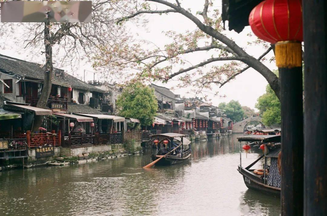 ”见行见效 津彩绽放”活动参赛作品:元旦合唱