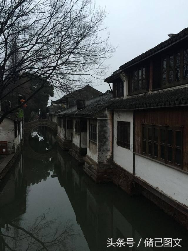 喜马拉雅喜豹入局短剧一年
