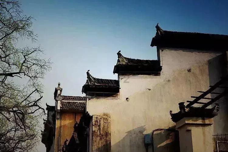 豆娃勇士2