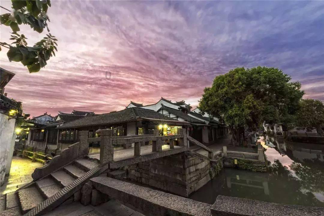 小仓鼠吃瓜子