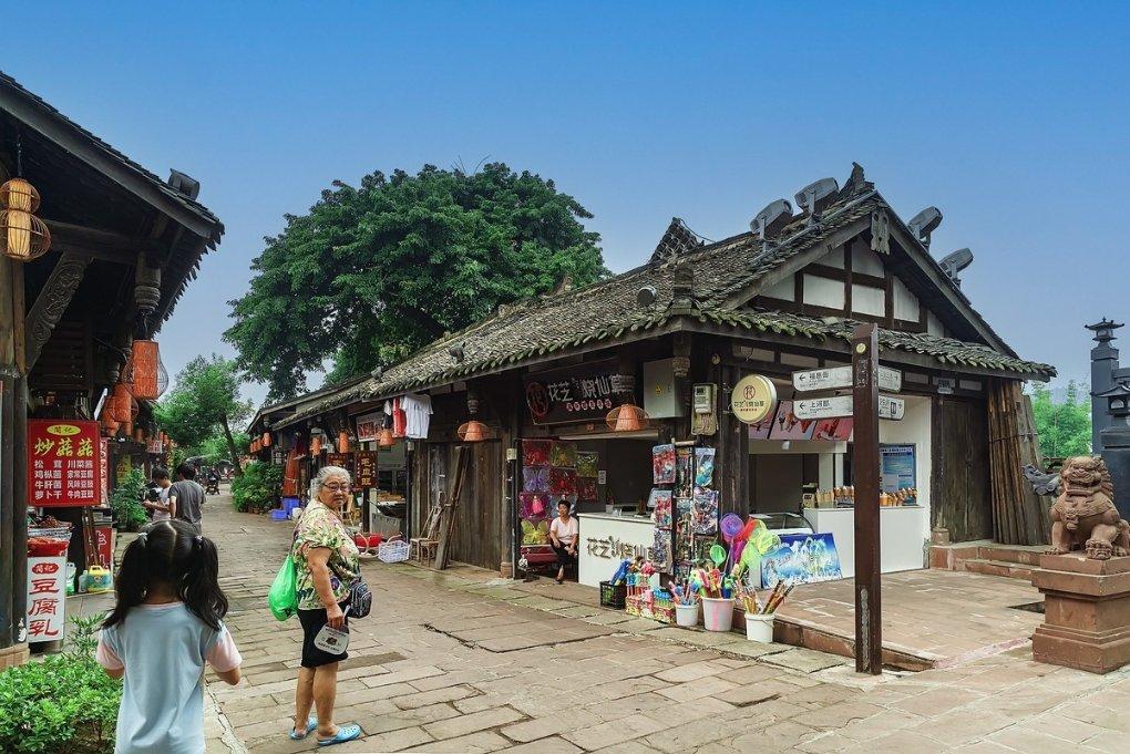 动物帮帮忙保卫家园