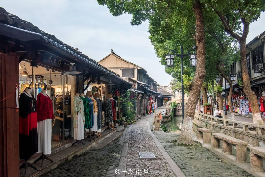 逃出茂密的丛林