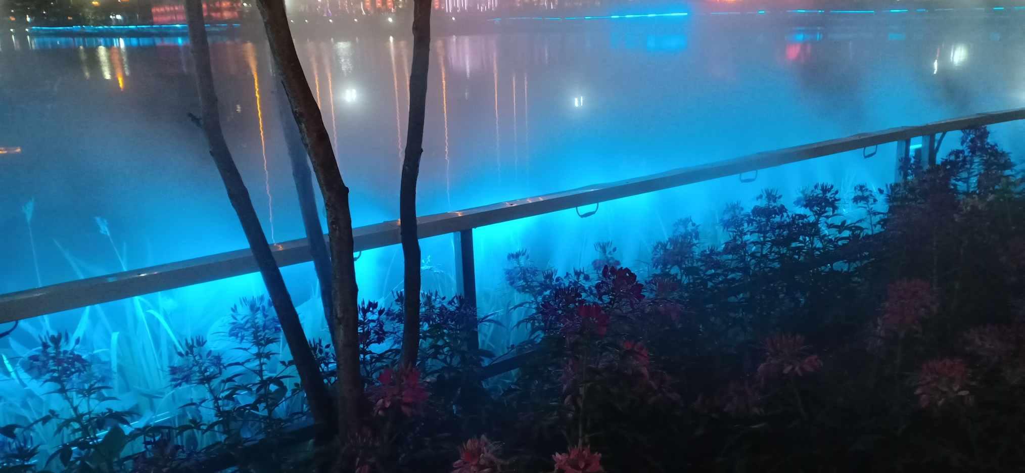 密室之逝夜流转