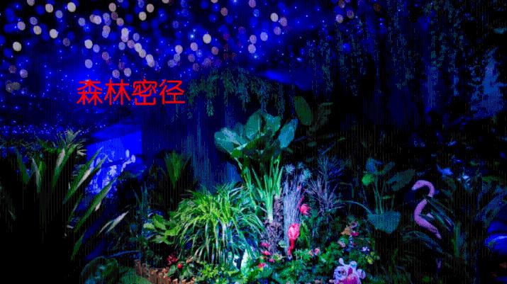 埃琳娜房间清洁